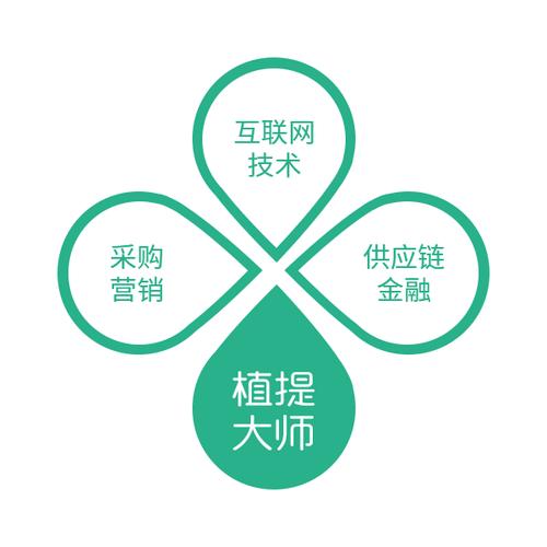 植提大师 陕西百益网络科技的网络技术服务先锋